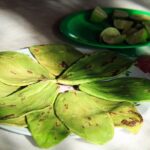 Authentic Rural Mexican Experience Adventure - Final Thoughts: Is It Worth It?