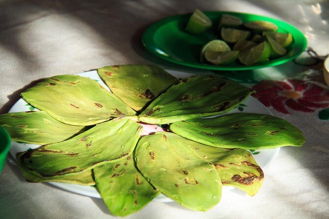 Authentic Rural Mexican Experience Adventure - Final Thoughts: Is It Worth It?