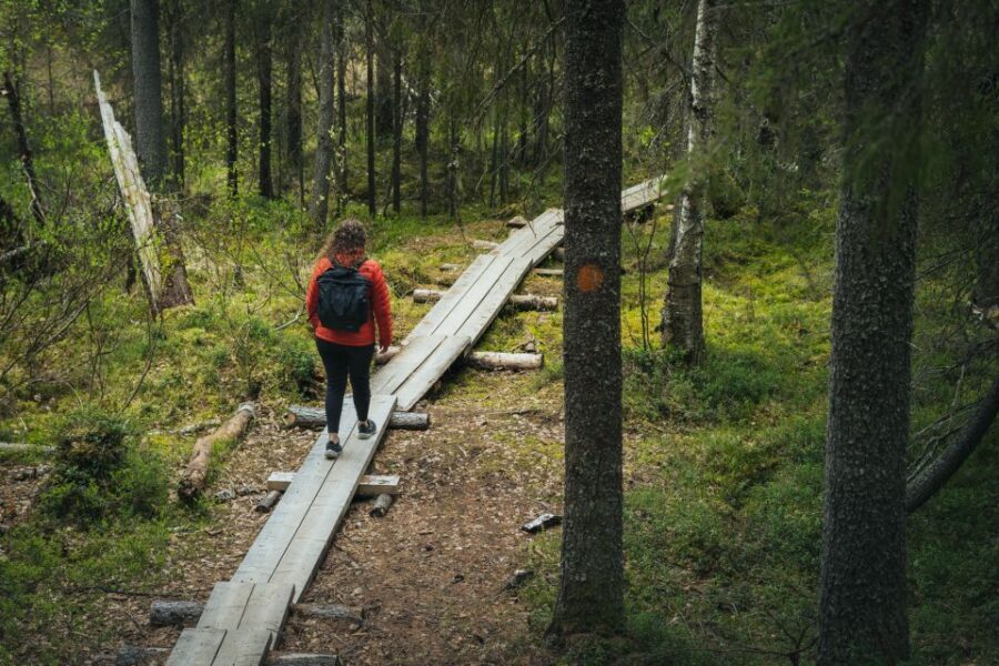 Auttiköngäs Hiking Experience - The Experience’s Strengths