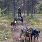 Autumn Husky Sit and Drive Cart Tour from Kiruna - FAQ