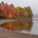 Autumn in Acadia National Park Private Leaf Peeper Driving Tour - Who Should Consider This Experience?