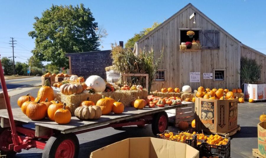Autumn in New England - From the Practical to the Picturesque