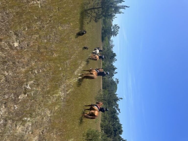 Aveiro: Horse Riding Experience with Instructor - The Practicalities