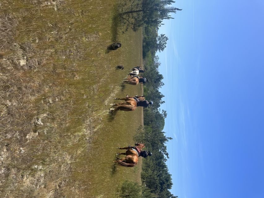 Aveiro: Horse Riding Experience with Instructor - The Practicalities