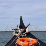 Aveiro: passeio de barco típico com degustação - 90 min - An In-Depth Look at the Aveiro Boat Tour