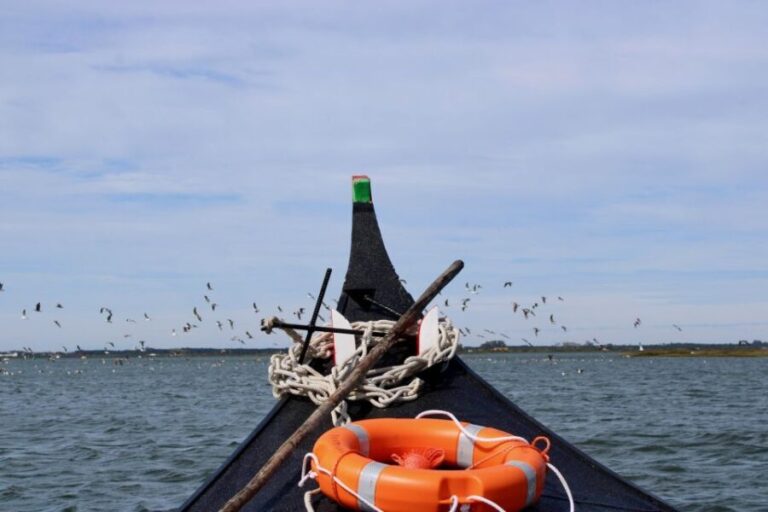 Aveiro: passeio de barco típico com degustação - 90 min - An In-Depth Look at the Aveiro Boat Tour
