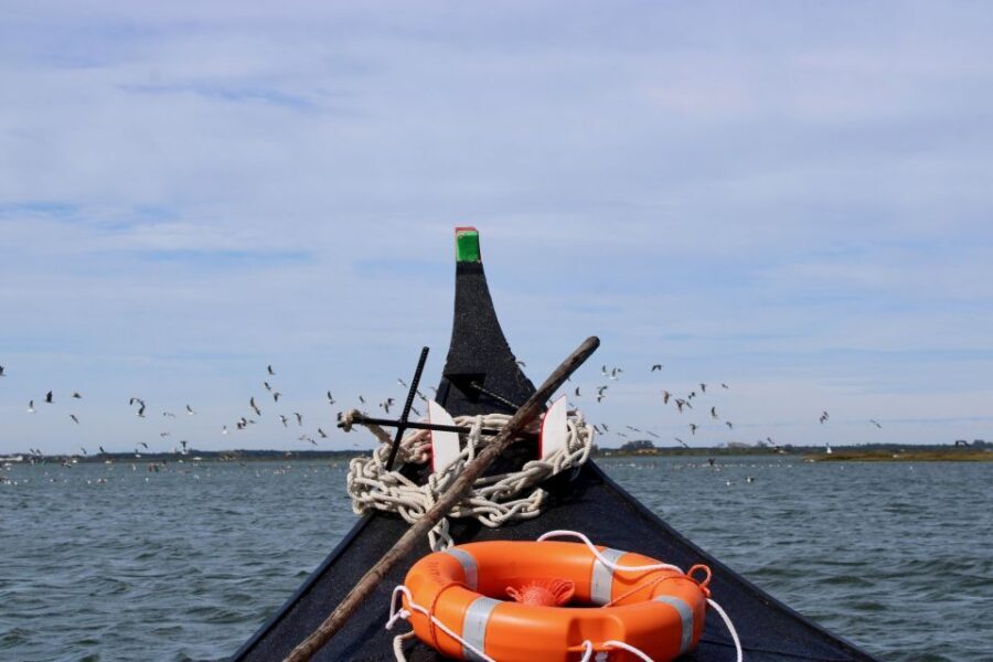 Aveiro: passeio de barco típico com degustação - 90 min - An In-Depth Look at the Aveiro Boat Tour