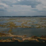 Aveiro: Ria Highlights Boat Tour - Who Will Love This Tour?