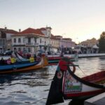Aveiro Tour(4Hours): From Oporto;City Tour- Half Day Trip - Why Choose This Tour?