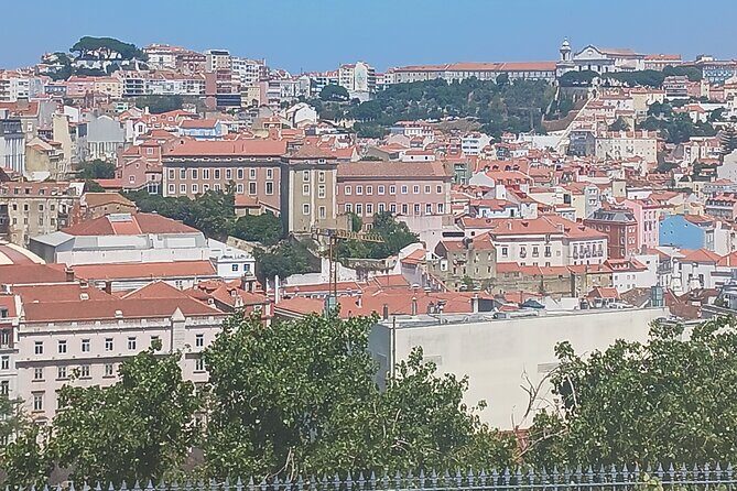 Avenida da Liberdade & Principe Real - Why This Tour Offers Excellent Value