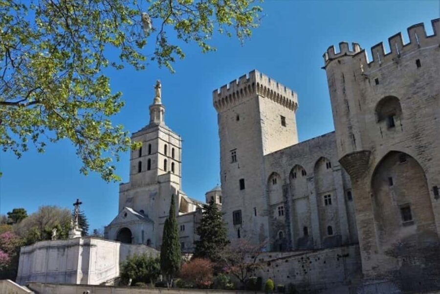 Avignon: All About Avignon Tour - Exploring Avignon in an Hour: What You Can Expect
