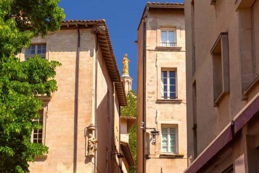 Avignon: Express Walk with a Local in 60 minutes - Exploring Avignon in 60 Minutes: What You Can Expect