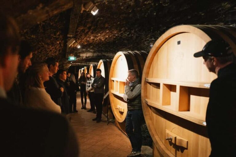 Avignon : Full day Truffles and Chateauneuf-du-Pape Wines - Why This Tour Works Well