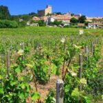 Avignon: Full-Day Wine Tour around Châteauneuf-du-Pape - Why This Tour Stands Out