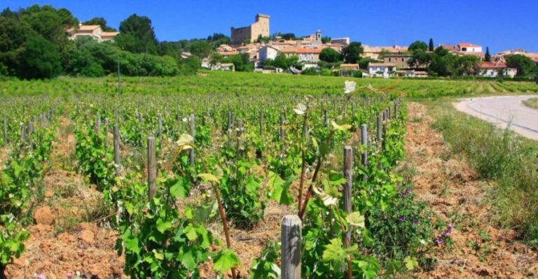 Avignon: Full-Day Wine Tour around Châteauneuf-du-Pape - Why This Tour Stands Out