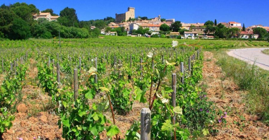 Avignon: Full-Day Wine Tour around Châteauneuf-du-Pape - Why This Tour Stands Out