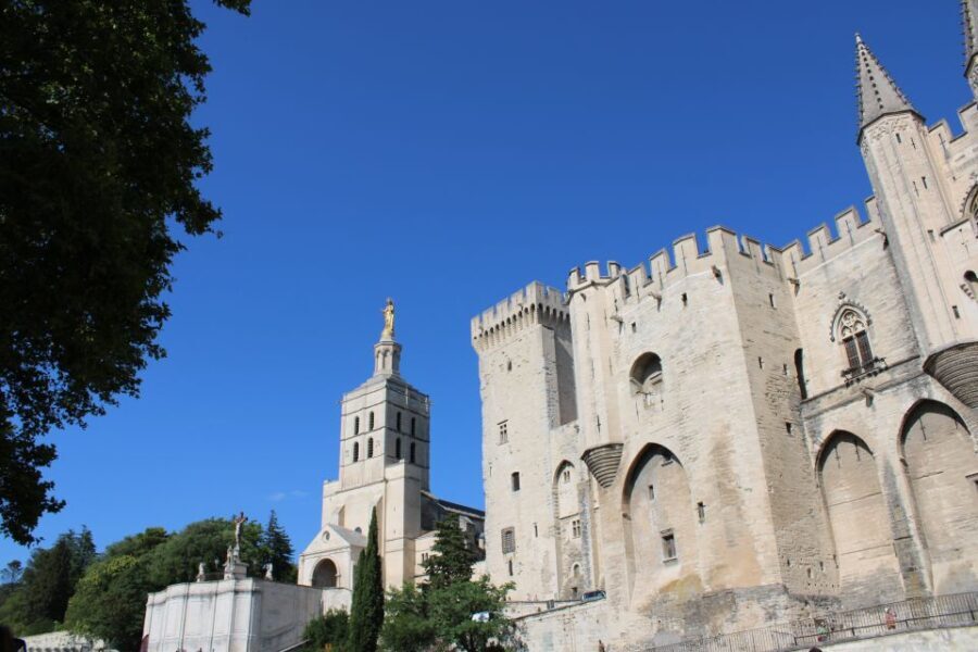 Avignon: Historic District Guided Food & Wine Walking Tour - Practical Details and Value