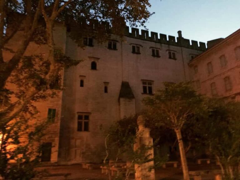 Avignon: La Noctambule du Pape Night Tour - Authentic Stories and Local Insights