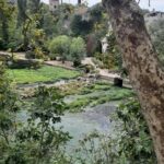 Avignon: Luberon, Gordes, and Roussillon Half-Day Tour - A Detailed Look at the Provence Half-Day Tour