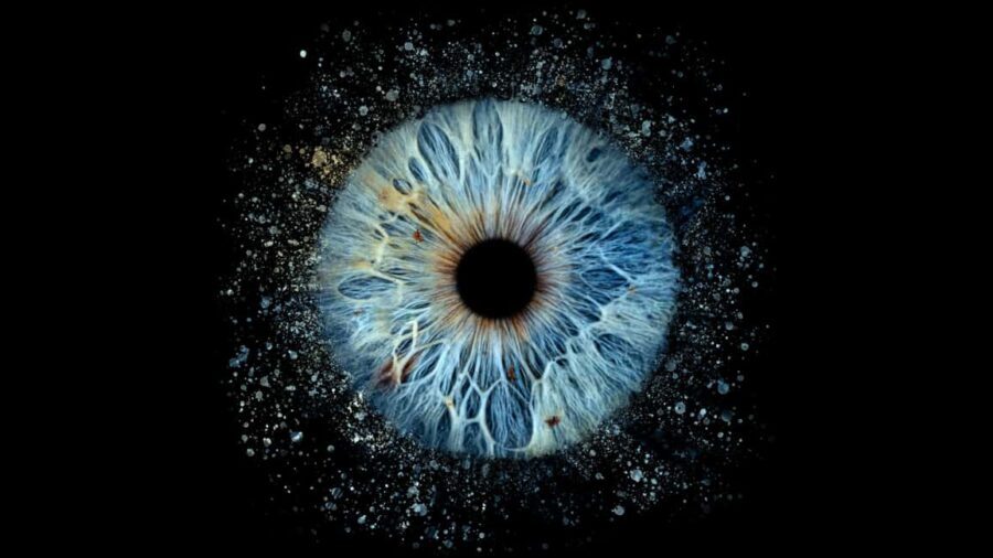 Avignon: Reveal the beauty of your iris with Iris Galerie - Why It Adds Value to Your Trip