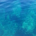 Avola: Group Boat Tour Vendicari Capopassero and Aperitif - Final Thoughts