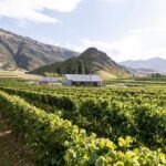 Award Winning Premium Wine Tour Queenstown Tasting at 4 Wineries - Transport and Group Size