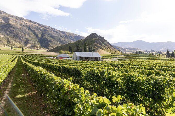 Award Winning Premium Wine Tour Queenstown Tasting at 4 Wineries - Transport and Group Size