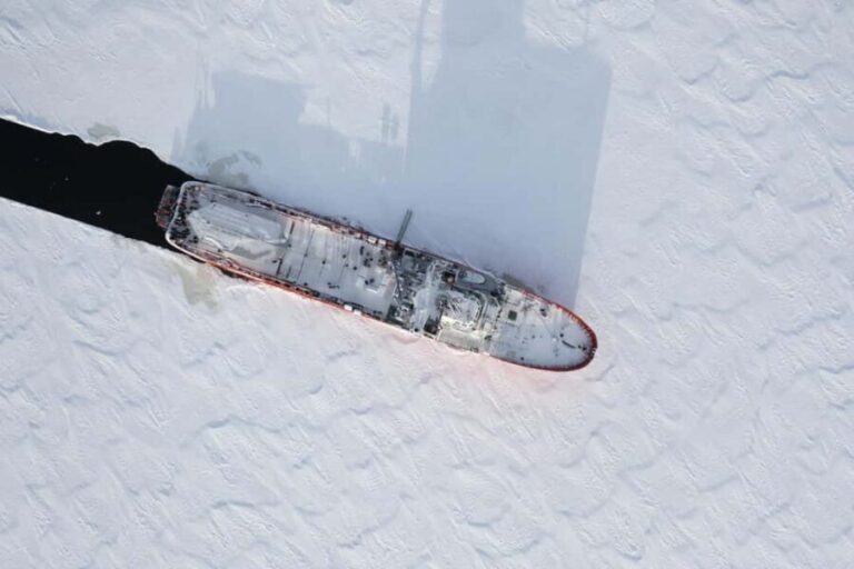 Axelsvik: Polar Explorer Arctic Icebreaker Morning Cruise - What Sets This Tour Apart?