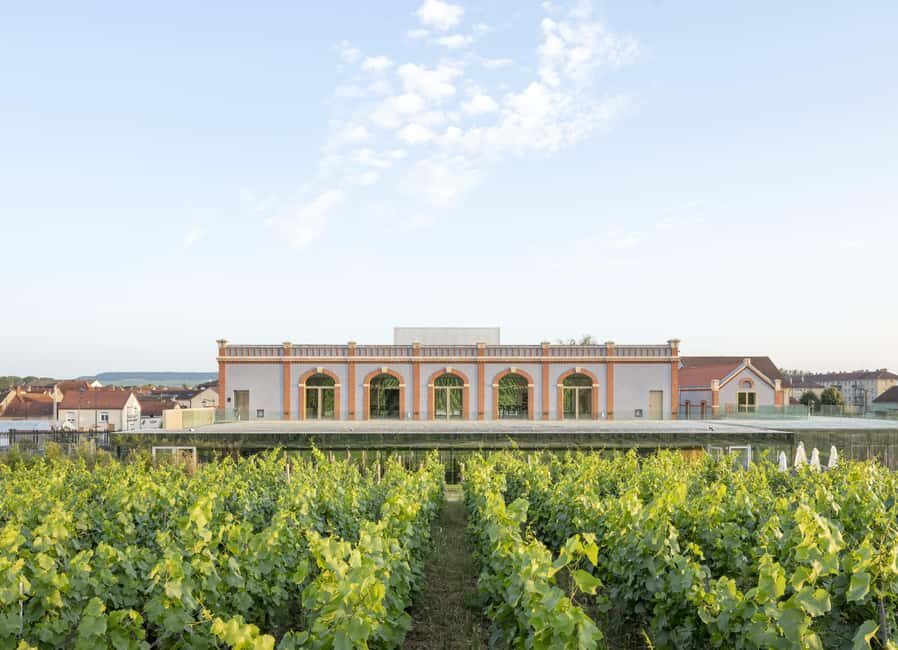 Aÿ-Champagne: Pressoria Champagne Museum with Tasting - An In-Depth Look at the Pressoria Champagne Museum Experience
