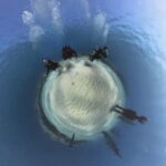 Ayia Napa: Musan Underwater Museum Scuba Dive with Transfer - A Deep Dive into the Experience