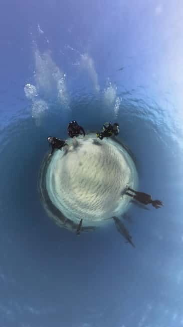 Ayia Napa: Musan Underwater Museum Scuba Dive with Transfer - A Deep Dive into the Experience