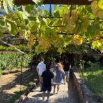 Azeitão: Great visit to wineries, farms, palace, and wine tasting. - Who is This Tour Best For?