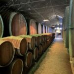 Azeitão: Horseback Riding, Tasting, Farms, and Cristo Rei - A Closer Look at the Itinerary