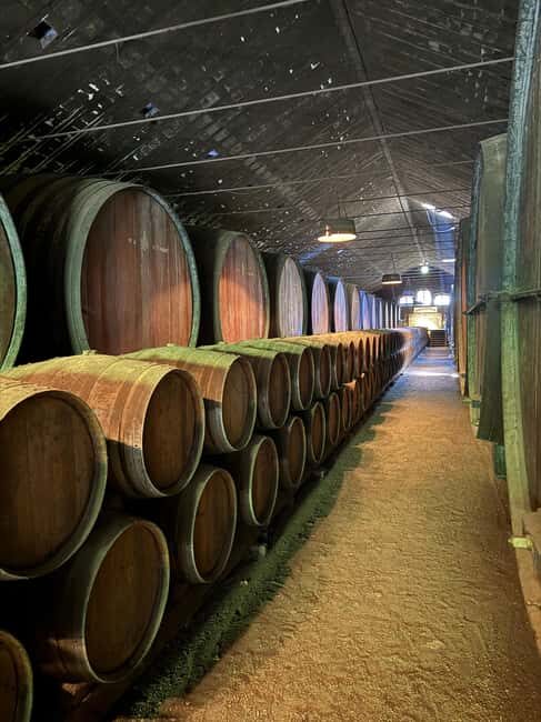 Azeitão: Horseback Riding, Tasting, Farms, and Cristo Rei - A Closer Look at the Itinerary