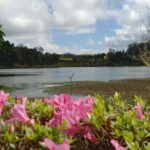 Azores: 1 Day Private Tour Furnas Volcanic Activity & Hot Springs - Authentic Experiences That Stand Out