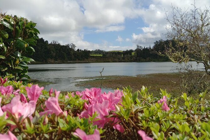 Azores: 1 Day Private Tour Furnas Volcanic Activity & Hot Springs - Authentic Experiences That Stand Out