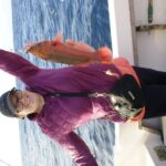 Azores: Full-Day Land & Ocean Tour - Exploring the Azores: What to Expect on the Full-Day Land & Ocean Tour