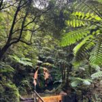 Azores: Janela do Inferno, Caldeira Velha Guided Hiking Tour - Why this tour offers excellent value