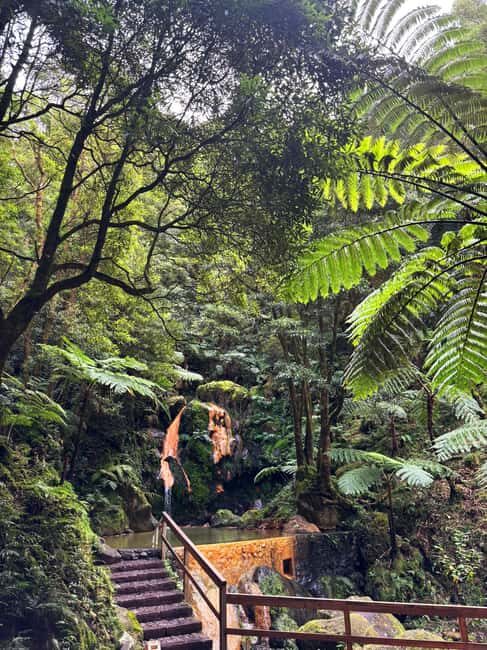Azores: Janela do Inferno, Caldeira Velha Guided Hiking Tour - Why this tour offers excellent value