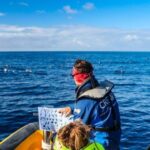 Azores Marine Birdwatching Expedition w/ Biologist Guide - Why It’s a Great Choice