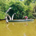 .Baby Turtle Release, Lagoon Boat Ride, and Crocodile Farm - In-Depth Review of the Tour Experience