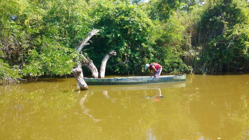 .Baby Turtle Release, Lagoon Boat Ride, and Crocodile Farm - In-Depth Review of the Tour Experience