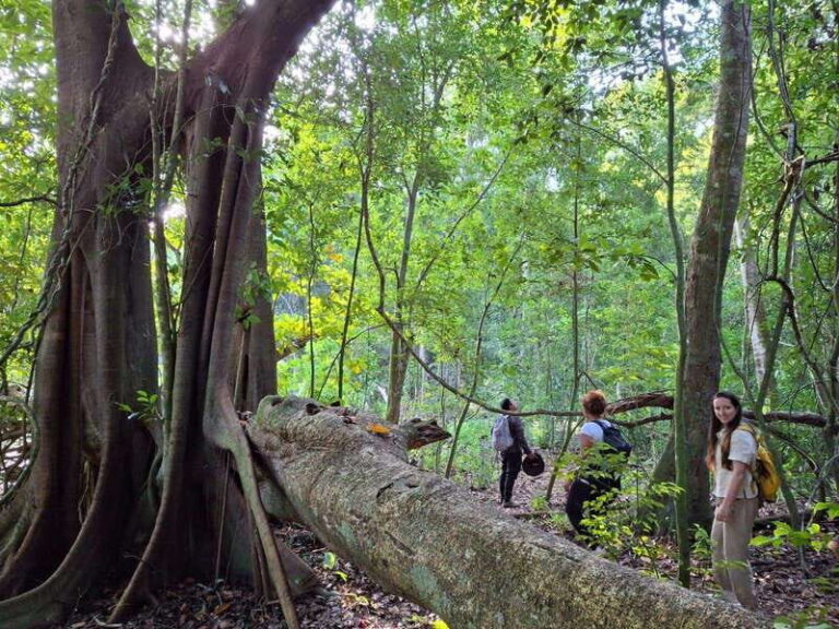 Bacalar: Calakmul Ruins Day Trip with a Stop In The Jungle - Frequently Asked Questions