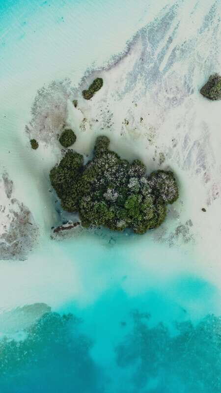 Bacalar & Cenotes: 3 hours kayak rental with snorkeling gear - Who Will Love This Experience?