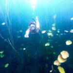 Bacalar: Magnificent Bacalar Lagoon Exclusive Boat Tour - Final Thoughts: Is This Tour Worth It?