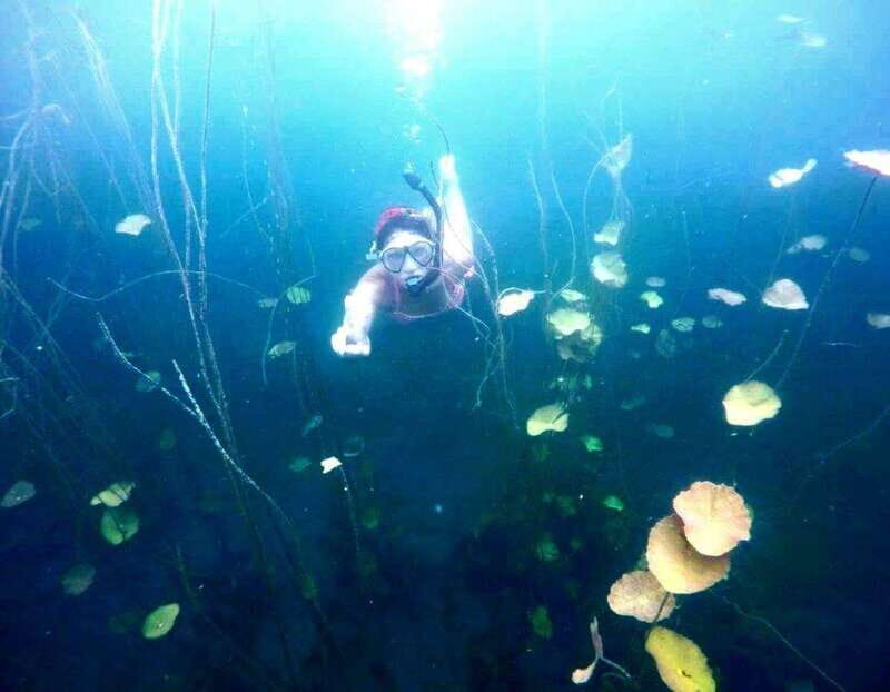 Bacalar: Magnificent Bacalar Lagoon Exclusive Boat Tour - Final Thoughts: Is This Tour Worth It?