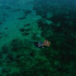 Bacalar Yoga Class on Floating Platform in Laguna - Who Will Love This Tour?