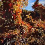 Back Bay Chocolate and Art Galleries Tour - A Deep Dive into the Back Bay Chocolate and Art Galleries Tour