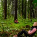 Bad Wörishofen: Shinrin-Yoku  Forest Bathing - An In-Depth Look at Bad Wörishofen’s Forest Bathing Tour