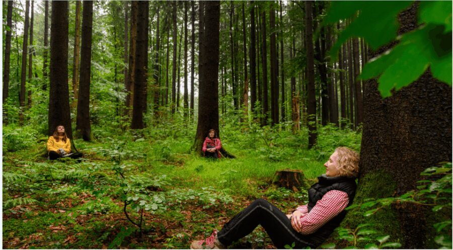 Bad Wörishofen: Shinrin-Yoku  Forest Bathing - An In-Depth Look at Bad Wörishofen’s Forest Bathing Tour
